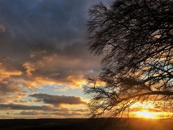 Low angle view of silhouette trees against dramatic sky