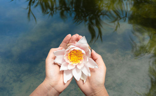 Cropped hand holding white flower in summer lake