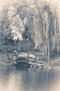 Scenic view of lake in forest during winter