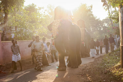 People standing by trees in park