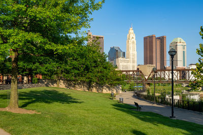 Trees in park with buildings in background