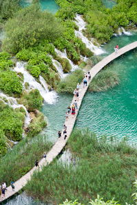High angle view of people on footpath by trees