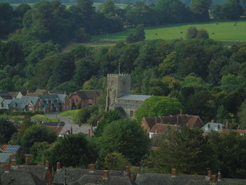 High angle view of vineyard and houses in town