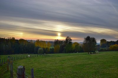 Scenic view of field against sky during sunset