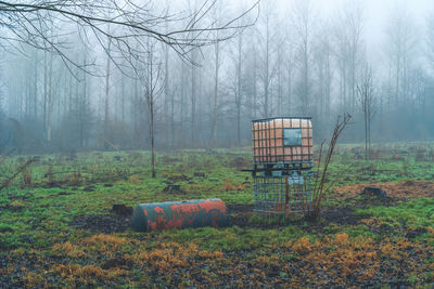 View of abandoned house in forest