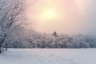 Bare tree on snow covered field against sky during sunset