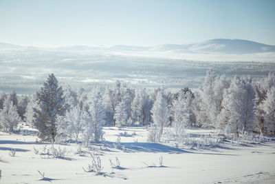 Scenic view of snow covered field against sky