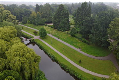 High angle view of trees on landscape