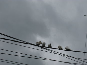 Low angle view of birds perching on cable against sky