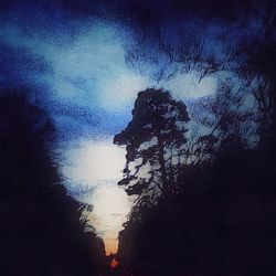 Low angle view of trees against sky