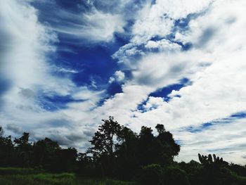 Low angle view of silhouette trees against sky