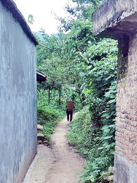 Footpath in narrow pathway