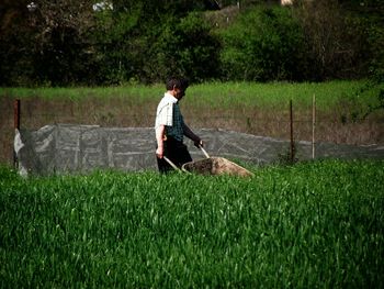 Farmer working amidst plants on field