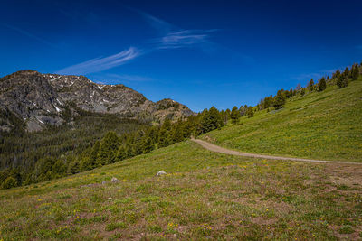 Scenic view of field against blue sky