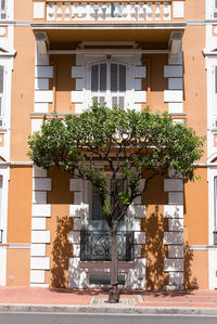 architecture
