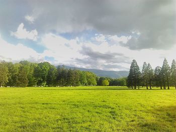 Scenic view of grassy field against cloudy sky