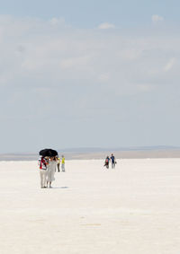 People at beach against sky