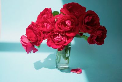 Close-up of red rose in glass vase on table