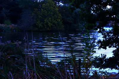 Scenic view of lake by trees against sky