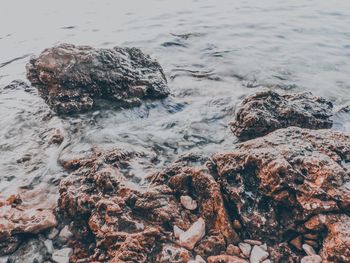 Rock formation on sea shore