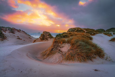 Scenic view of beach against sky during sunset