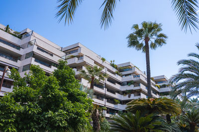 Low angle view of palm trees against sky