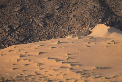 High angle view of desert land