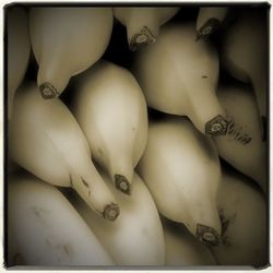 human body part