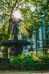 Low angle view of sunlight streaming through trees in park