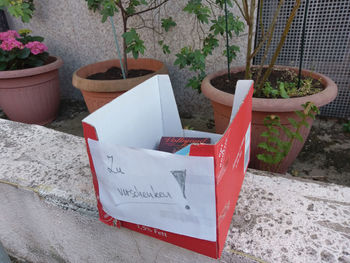 Close-up of potted plants against wall