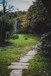 Footpath in park