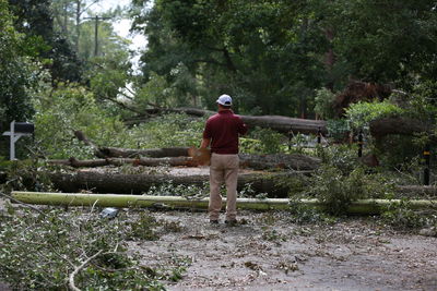 Rear view of man standing by fallen trees in forest