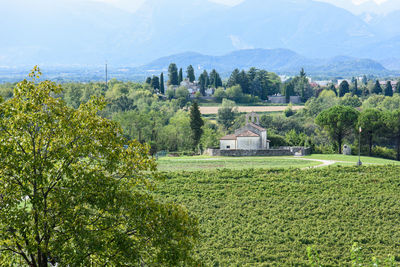 Scenic view of field and houses against sky