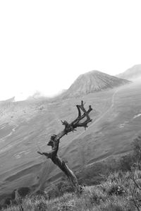 Scenic view of arid landscape against clear sky