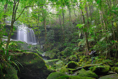 Photographer photographing waterfall in forest