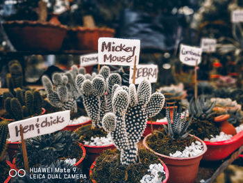 Close-up of various for sale in market