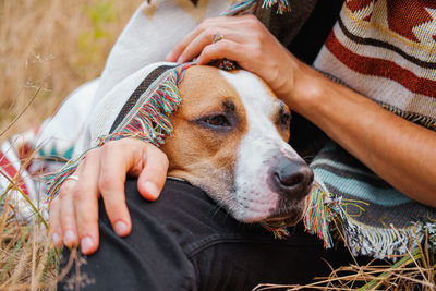 Midsection of woman with dog