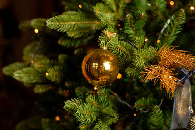 Close-up of illuminated christmas tree