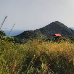 Scenic view of mountains against clear sky