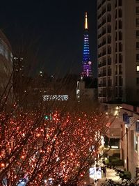 Illuminated christmas tree at night