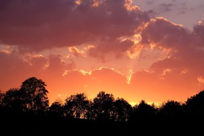 Silhouette trees against dramatic sky during sunset