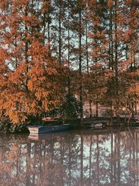 Trees by lake during autumn