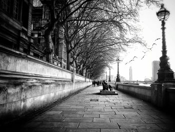 View of bare trees in city