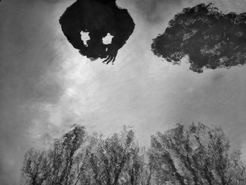 Low angle view of trees against sky