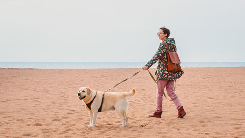 A girl leads a labrador retriever on a leash along a sandy beach in autumn