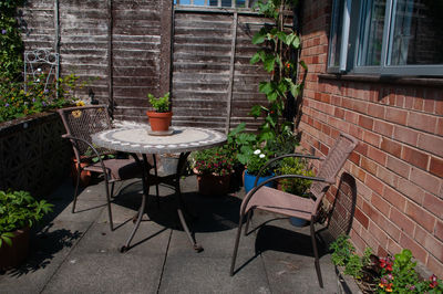 Potted plants on table against building