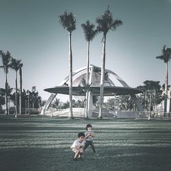 Rear view of people on palm trees against sky