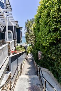 Footpath amidst trees and buildings against sky