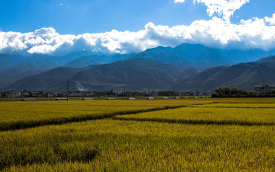 Scenic view of field against sky