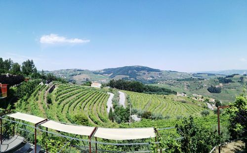 High angle view of agricultural field against sky